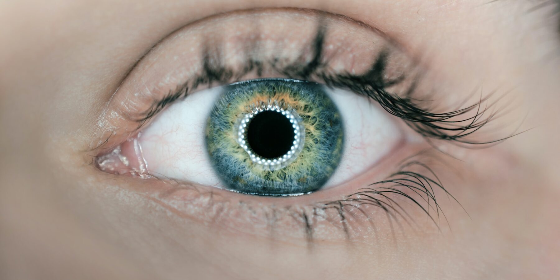 Czemu ludzie mają różne kolory oczu? #człowiek #kolory #organizmy - ciekawostki.app