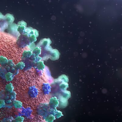 Jak wirus atakuje organizm człowieka? Nagranie video #odporność #wirusy #życie - ciekawostki.app