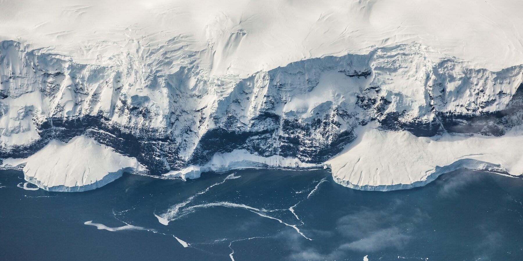 Organizmy zamieszkujące Antarktydę – jedno z najsurowszych miejsc na ziemi #antarktyda #organizmy #ziemia #życie - ciekawostki.app
