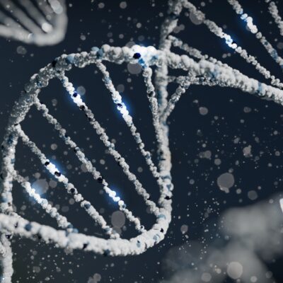 Co to jest DNA i jak działa? #biologia #człowiek #DNA #komórki #organizmy #życie - ciekawostki.app